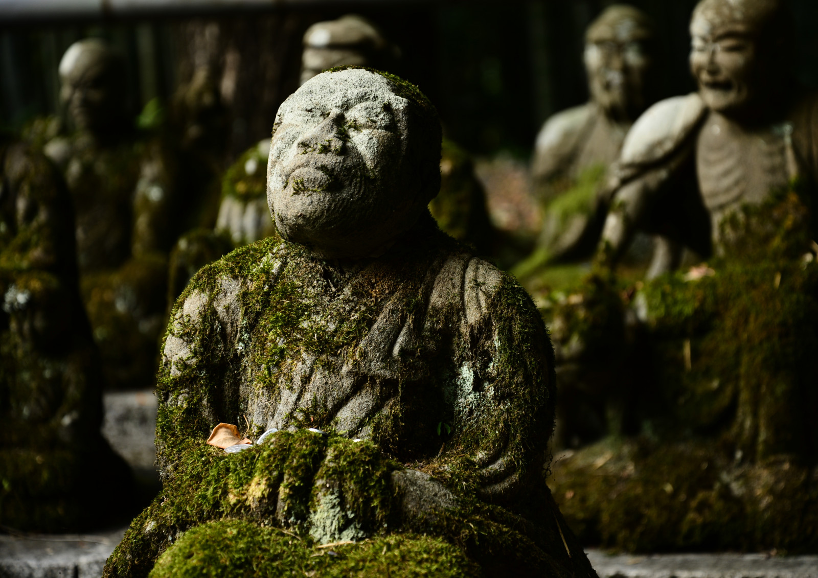 tempel, klippe, mos, skulptur, statue, sten-, mytologi, monument, Kyoto, KUNST, buddhist, oldtidshistorie, fiktiv karakter, gautama buddha
