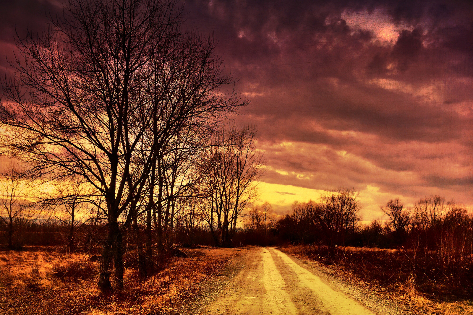 slunečnímu záření, krajina, západ slunce, Příroda, nebe, pole, silnice, svítání, večer, ráno, soumrak, mrak, strom, podzim, svítání, sezóna, prérie, venkov, atmosférický jev, dřevina