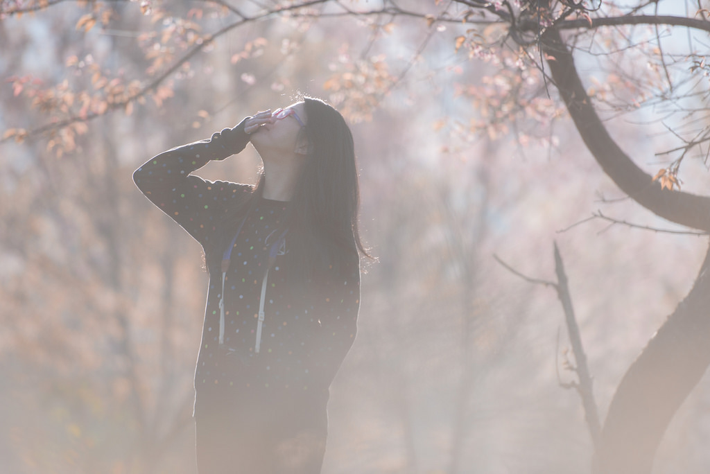 slunečnímu záření, nebe, sníh, zima, větev, led, ráno, mráz, Nikon, zmrazení, strom, NIKKOR, ii, dívka, D810, Nano, 70200 mm, vánice, ed, vr, AFS, f28g, větvička, stock photography