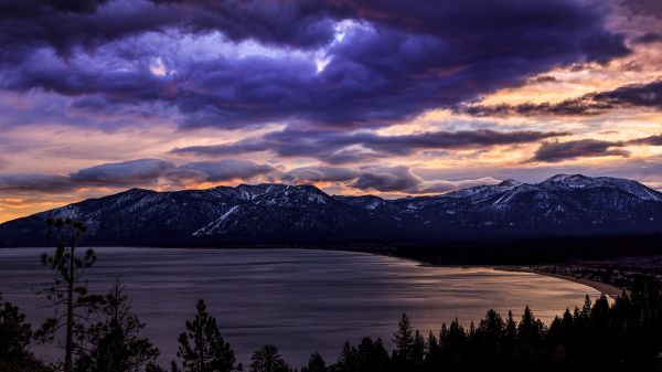 trees, mountains, landscape, forest, sunset, sea