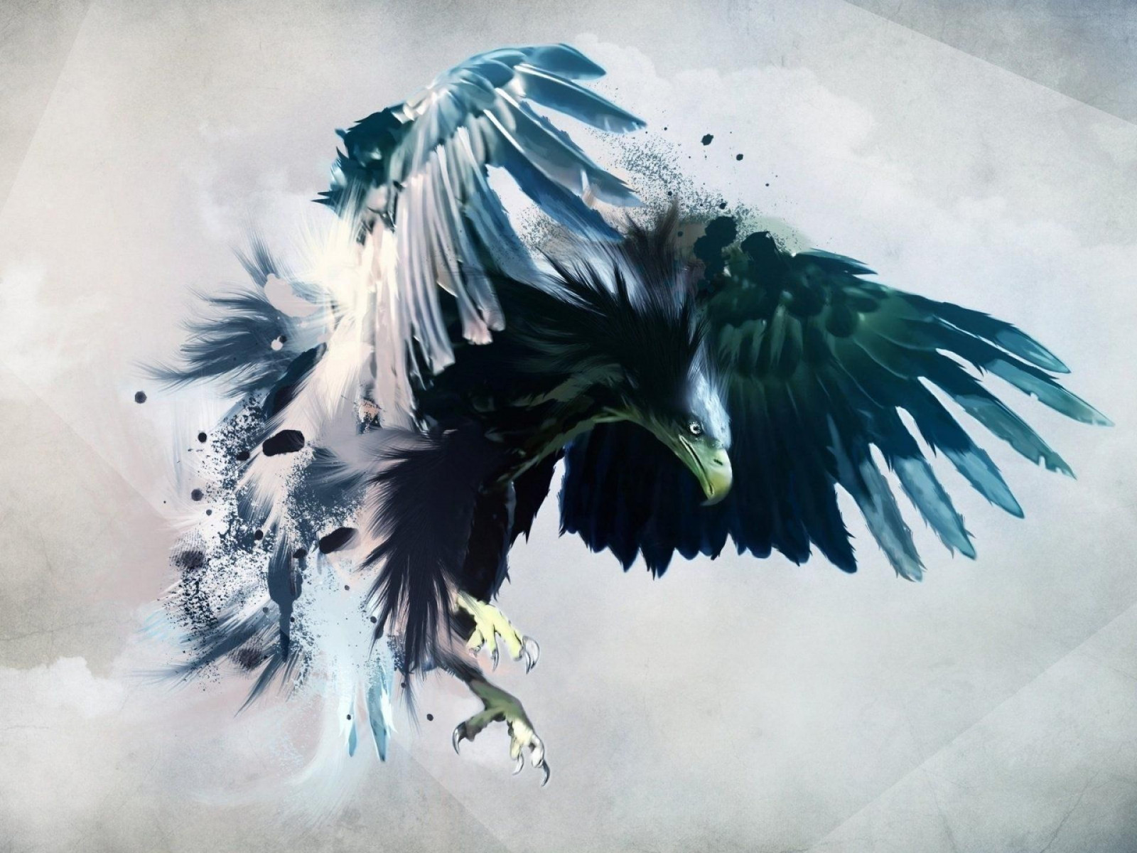 ilustración, aves, Animales, Obra de arte, plumas, azul, águila, pájaro, ala, bosquejo, Pájaro encaramado