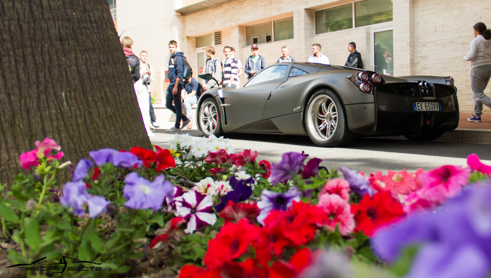 bil, køretøj, superbiler, Brun, grå, Canon, sportsvogn, Monaco, Pagani, Huayra, 2014, plante, hjul, biler, super, auto, superbil, eos, 550D, klasse, hypercars, Meridien, Horacio, canoneos550d, jord køretøj, bildesign, luksus køretøj, motor køretøj, topmarquesmonaco