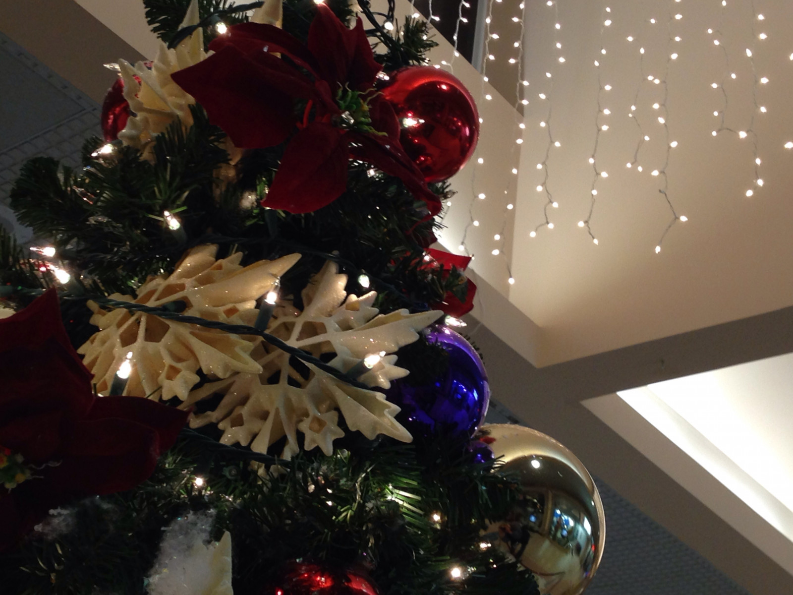 Wallpaper Christmas, tree, ornament, ornaments 3264x2448 947949