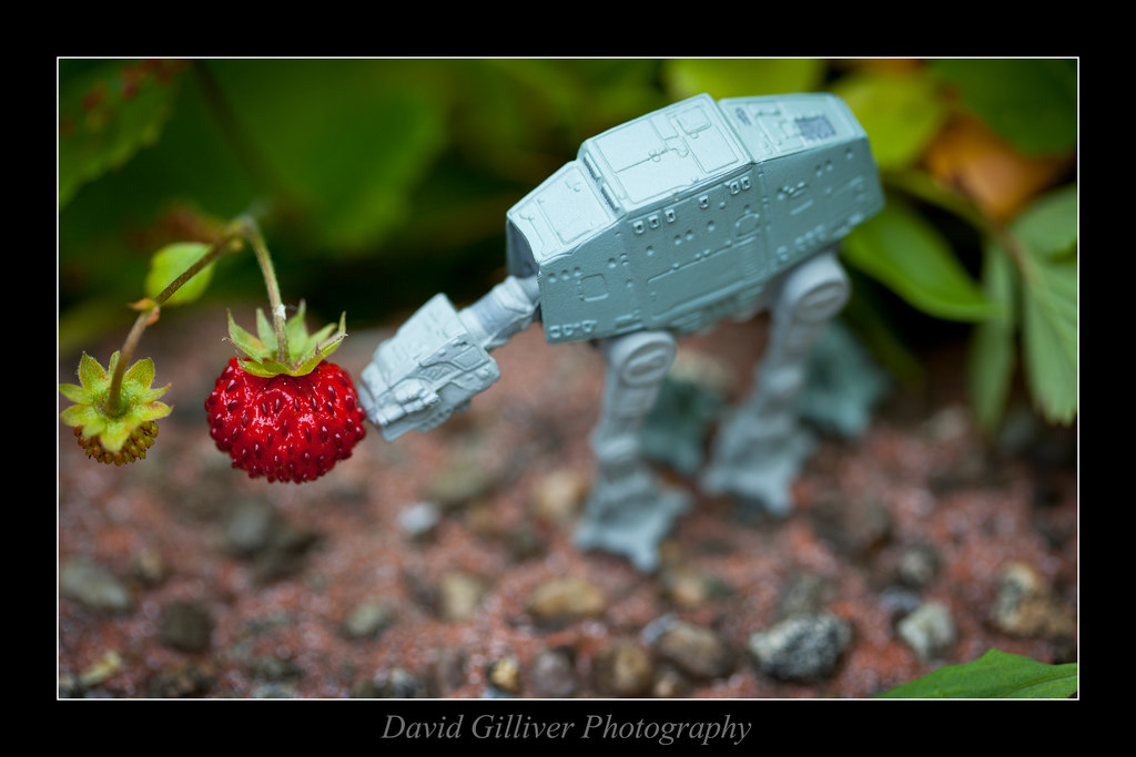 Hračka, hračky, miniatury, miniaturní, hvězdné války, atat, playingwithyourfood, toyart, stopplayingwithyourfood, davidgilliver, funnystarwars, davidgilliverphotography