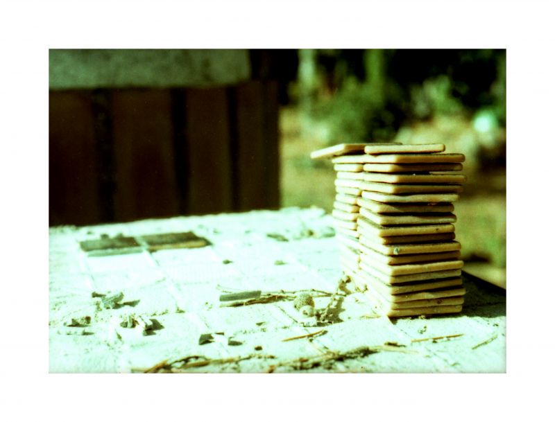 dřevo, tráva, stock photography