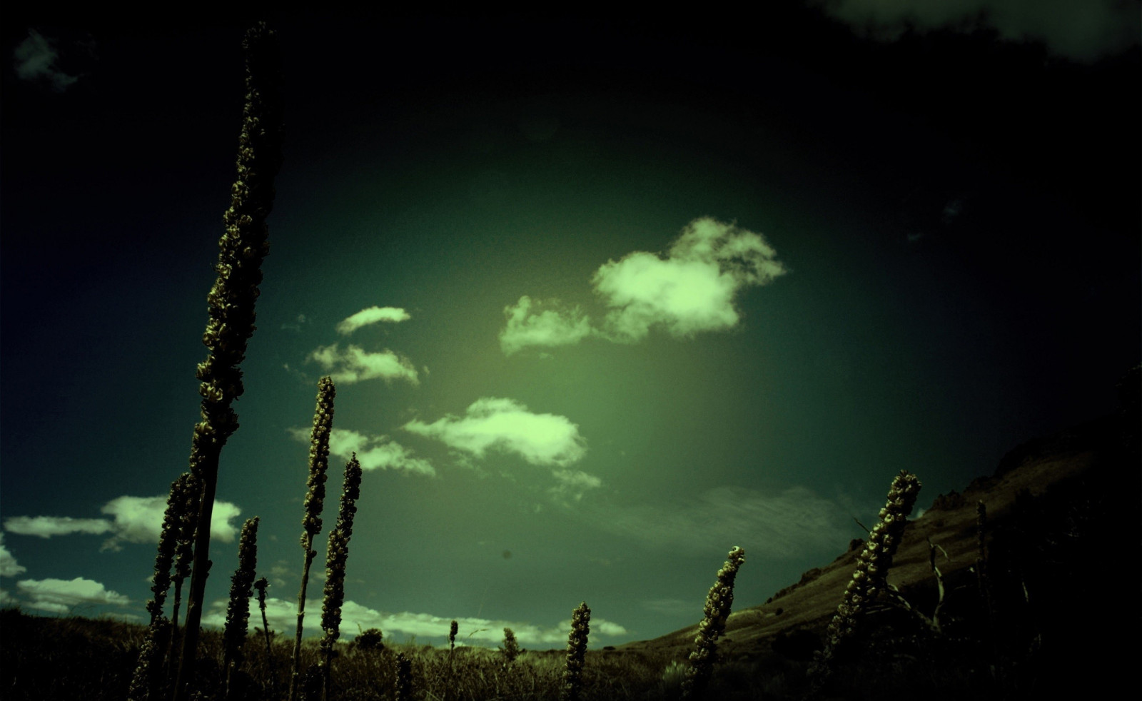 lumière du soleil, paysage, nuit, la nature, réflexion, ciel, les plantes, la photographie, vert, clair de lune, atmosphère, Aurore, lumière, nuage, obscurité, 2559x1571 px