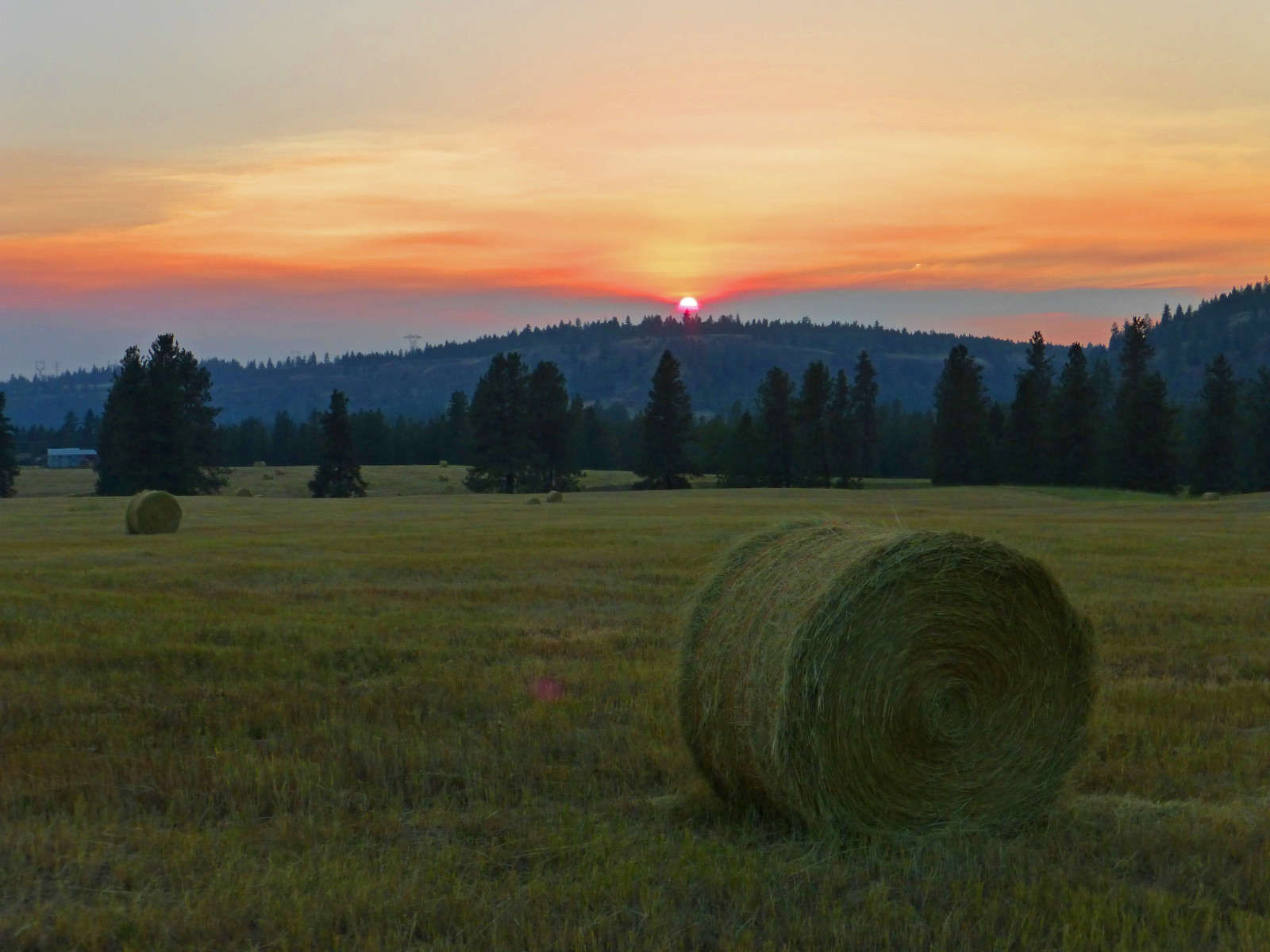 slunečnímu záření, krajina, západ slunce, kopec, tráva, nebe, pole, silnice, fotografování, svítání, večer, ráno, slunce, hospodařit, fotograf, horizont, atmosféra, amatér, seno, 7, venkovský, mrak, strom, zlatý, hodina, washington, sklizeň, svítání, lučina, fotografie, kolo, mimo, pastvina, pole, fotografie, výlet, zemědělství, žok, louka, fotky, prostý, Spokane, Severozápad, míle, prérie, oříznutí, venkov, tráva rodina, ekoregion, vnitrozemí, Junglejims