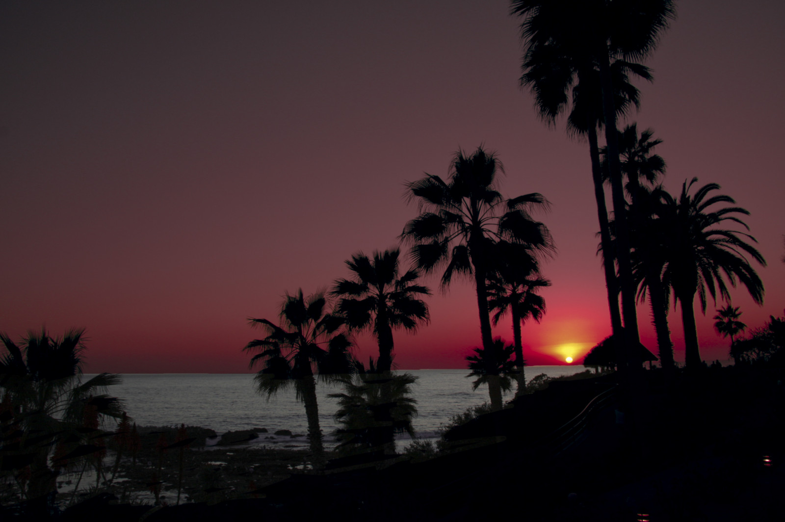 oceán, Kalifornie, las, růžový, modrý, stromy, západ slunce, Červené, dovolená, nebe, oranžový, mrak, slunce, pláž, Příroda, voda, Krásná, krása, žlutý, soubor, mraky, svítání, Kánon, krajina, venku, restaurace, zlatý, krajiny, přírodní, Stát, výstřely, šedá, dlaň, pohledy, pláže, 100, laguna, vzestup, brisas, 40d