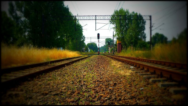 trees, vehicle, train, railway, reflection, green trees, vehicle, train, railway, reflection, green