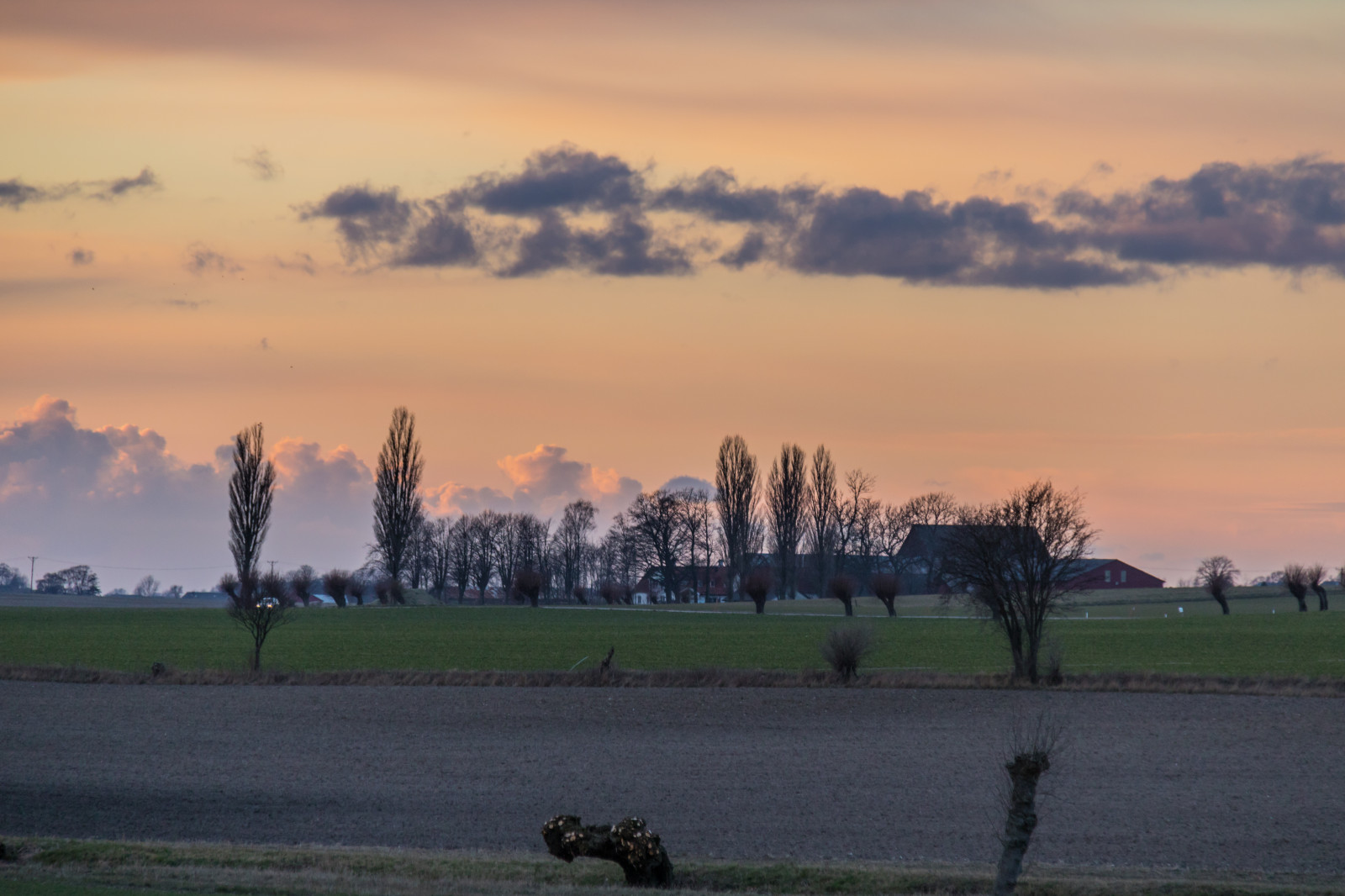 krajina, západ slunce, kopec, Příroda, tráva, nebe, pole, svítání, večer, ráno, mlha, horizont, soumrak, mrak, strom, svítání, lučina, nebe, solnedg ng, venkov, moln, skymning, landsbygd, landskap, prostý, prérie, venkov, atmosférický jev, savana