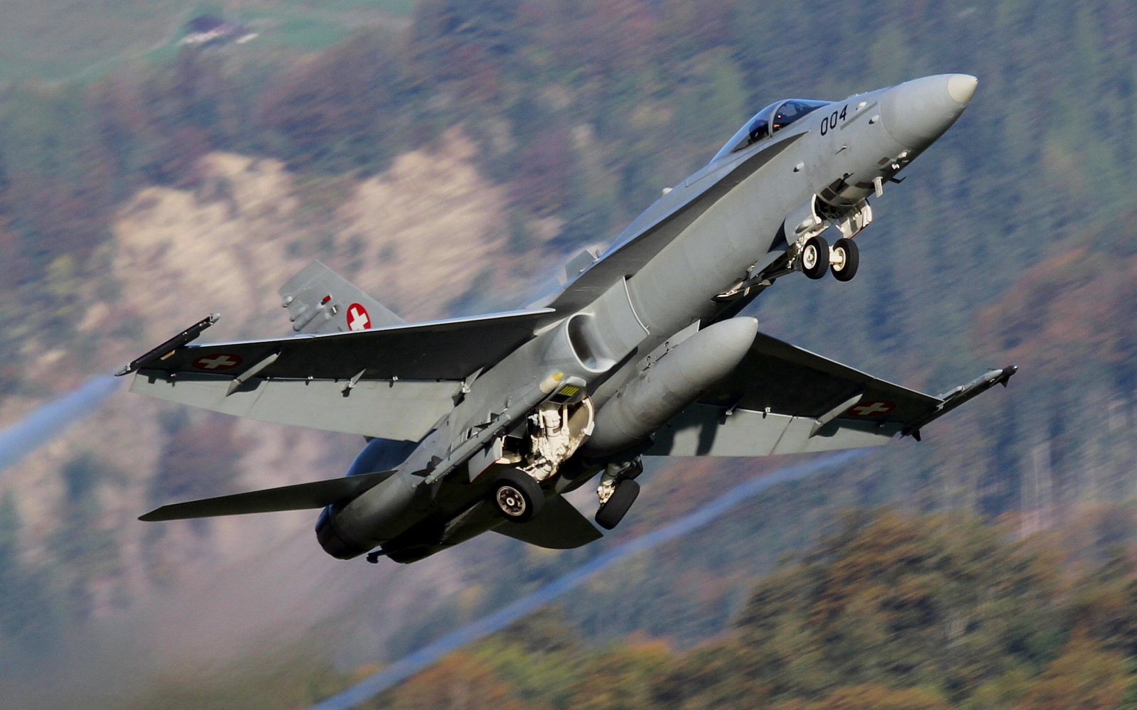 letoun, letadlo, tygr, Švýcarsko, vojenská letadla, McDonnell Douglas F 15 Eagle, letectvo, Let, Vzlétnout, f18, letectví, letectvo, švýcarský, letecká linka, sršeň, stíhací letoun, aerospace engineering, dopravní letoun linkový, proudová letadla, pozemní útok letadla, McDonnell Douglas fa 18 sršeň, boeing fa 18e f výborná sršeň, f5, Meiringen, Day3card1