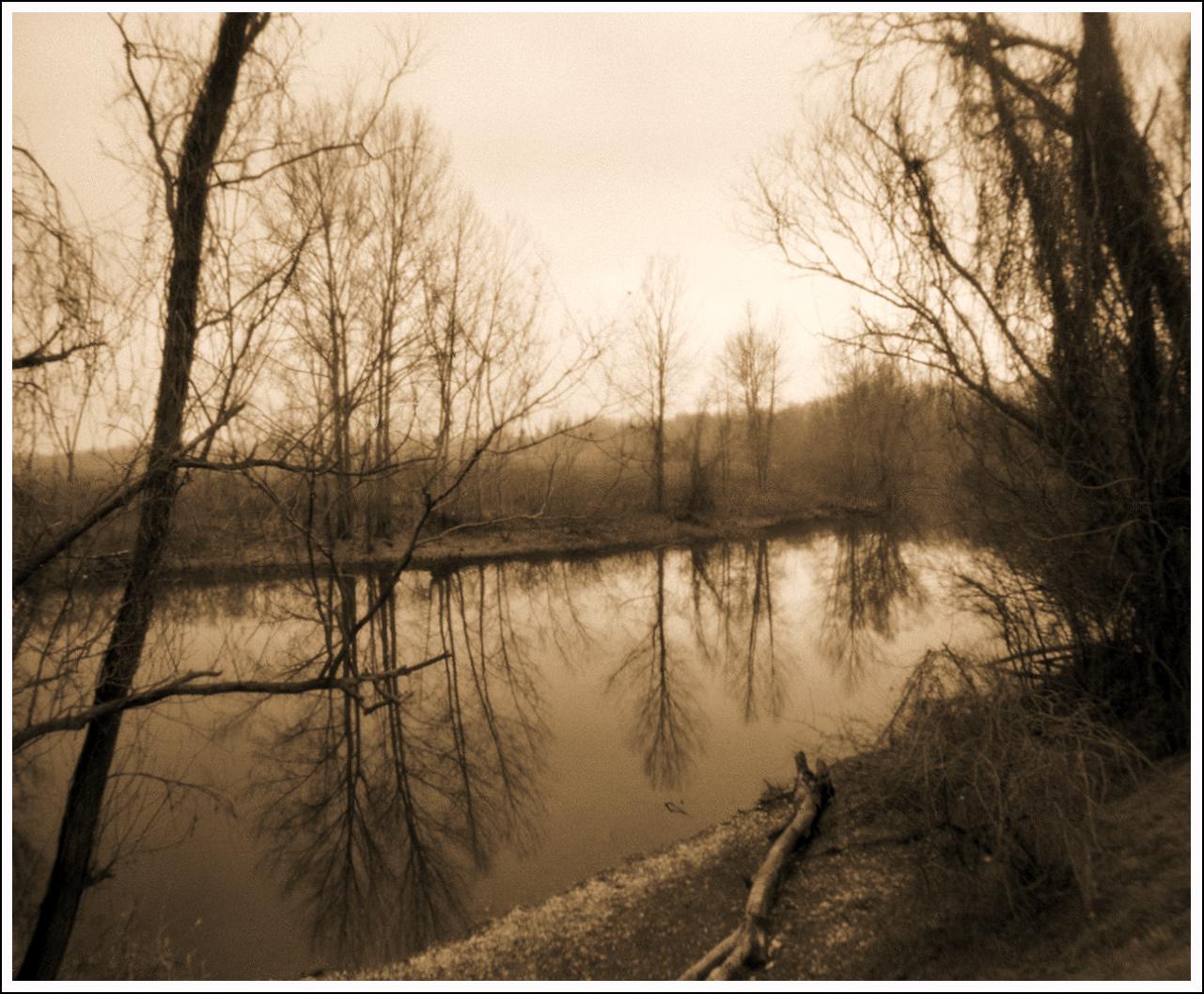 slunečnímu záření, krajina, les, voda, Příroda, odraz, nebe, zima, fotografování, dřevo, větev, uklidnit, nádrž, večer, ráno, řeka, polévka, rozvoj, banka, bažina, mokřadní, 6x6, Epson, longexposure, strom, rostlina, tělesné, Italia, film, Ilford, fiume, autunno, dírka, alternativní, mld, analogový, 120, photoscape, bayou, Lodigiano, zálesí, Černý a bílý, analogica, fiumeadda, mediumformat, 100iso, přidat, močály, domácí výroba, lužní, V600, delta100, Domácí kadeřník, 1200dpi, Fx1, Fotoflo, Homemadesoup, Medioformato, Stenopeica, Addariver, Stenopeico, F205, Kamerová kamera, Paludi, Stopbath, Domácí rozvoj, Prewash2min, Photoflo200, Domácí kuchařka, Curvedplane, Kodakrapidfixer, Kodakfhotoflo, Deliuxto36cp, Addamorta, Domácí zvířata, Kodakstopbath, stock photography, fluvial landforms of streams