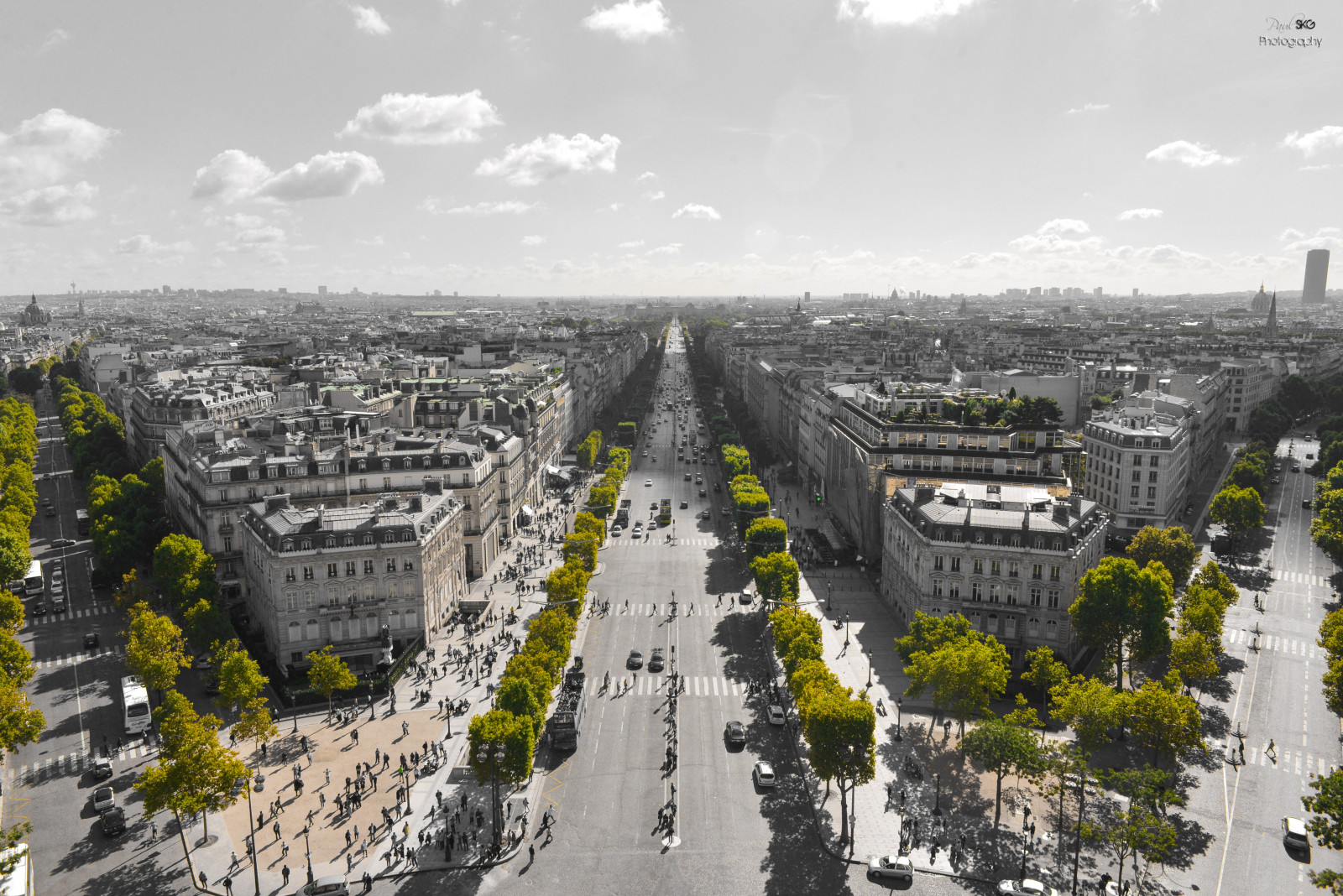květiny, město, panoráma města, architektura, budova, milovat, nebe, Supercars, Lamborghini, Kánon, Sony, panoráma, Nikon, Francie, Paříž, Ferrari, francouzština, metropole, Pagani, Huayra, cinque, oblouk, strom, rostlina, mygearandme, fotografie, D7000, Agera, aston, Martin, města, mygearandmepremium, Soe, D600, champs, urban area, Metropolitní oblast, elysees, Champselysees