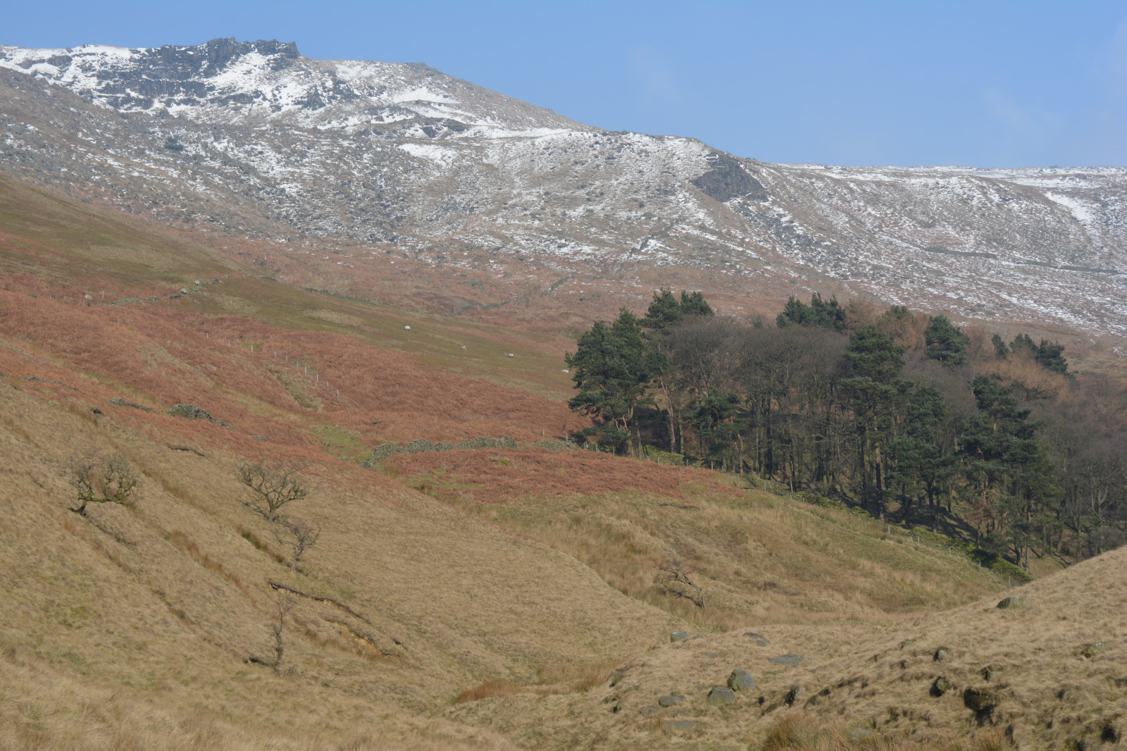 Anglie, Spojené království, Derbyshire, hayfield, Peak District, highpeak, národní park, thenationaltrust, modrá obloha, hřbet, hory, mountainside, hora, kinderscout, kinder, stráň, kopec, předhůří, slátanina, údolí, kaňon, vřes, krajina, venkovní, zima, sníh, klidný, mrzutý, divoký, stromy, kamenné zdi, skály, rockformation