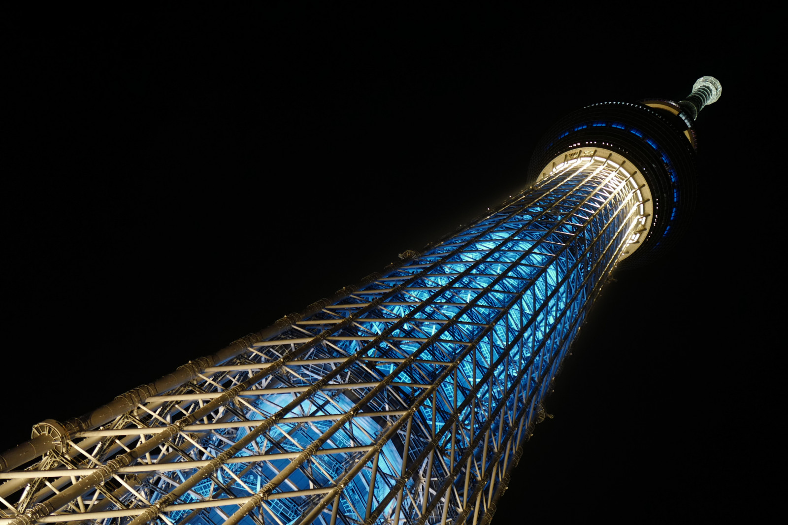 Japonsko, noc, architektura, modrý, věž, Leica, Tokio, jp, Skytree, světlo, osvětlené, pták, osvětlení, křídlo, iki, mezník, Tokyo Sky Tree, summilux, leicaq, summilux1728, q, 1728, oshiage, zblízka, makro fotografie