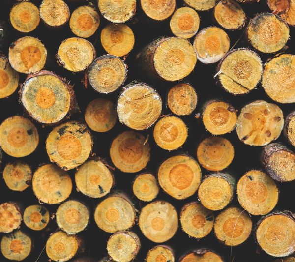 wood,tree trunk,food,pattern,baking,cuisine