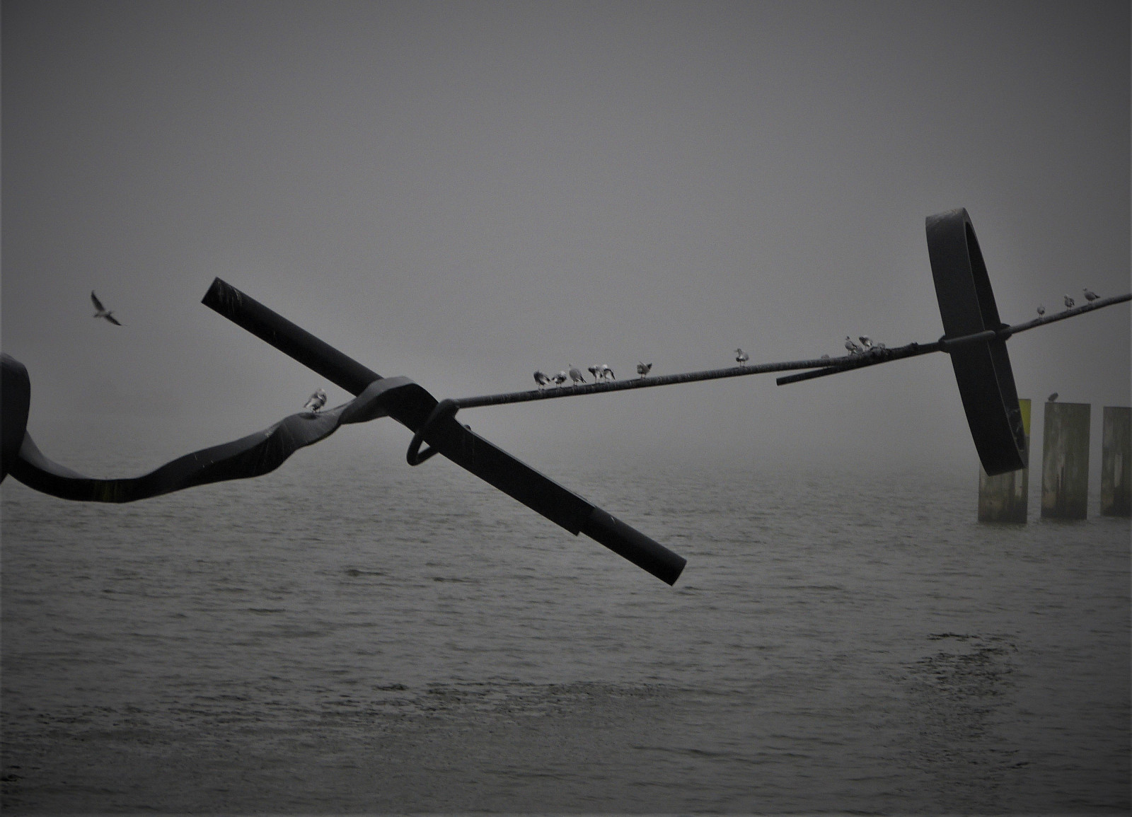 Černý a bílý, nebe, voda, druh dopravy, Atmosféra Země, fotografování, monochromatické fotografování, černobílý, odraz, uklidnit, mrak