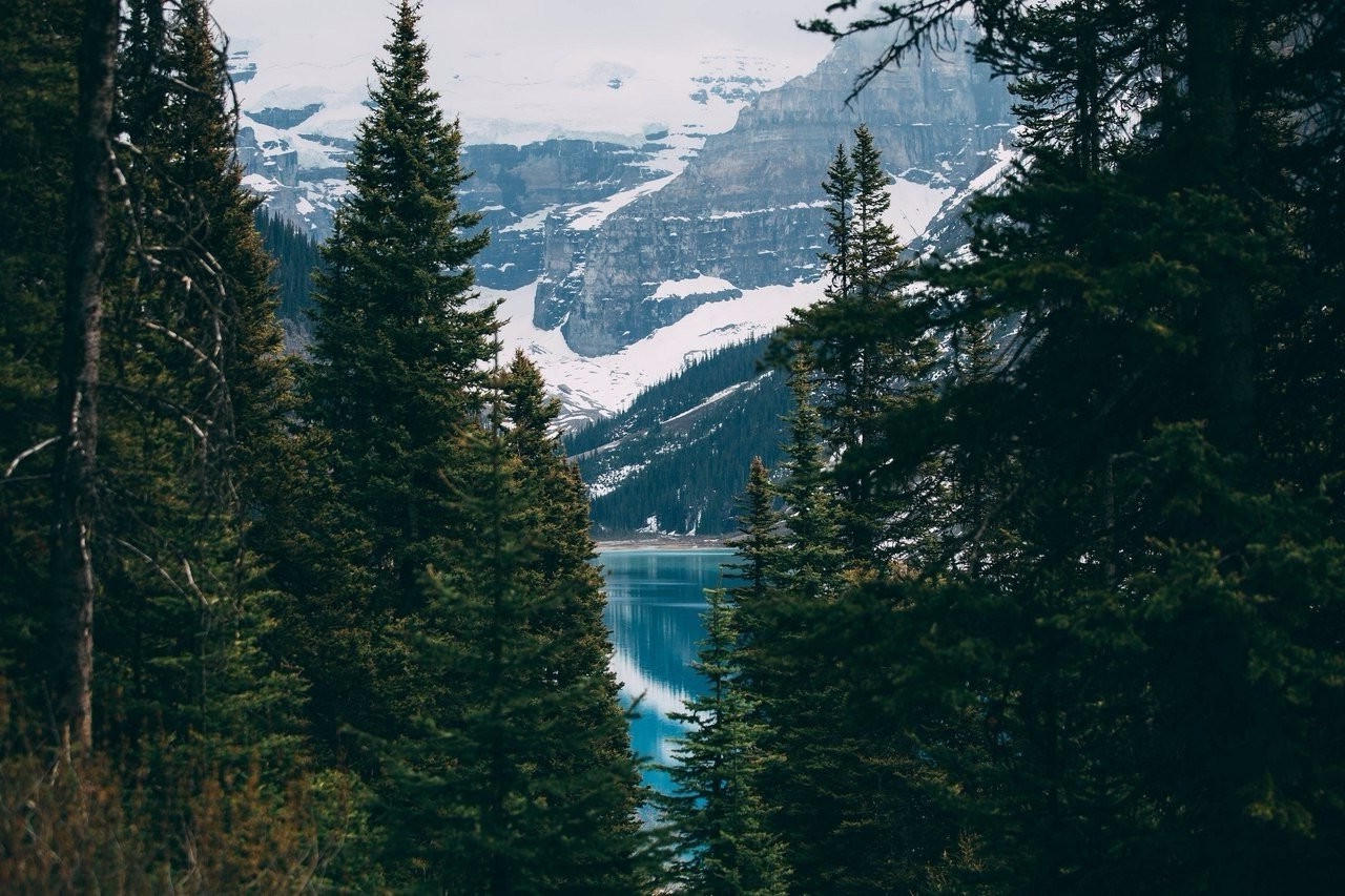 1280x853 px, forêt, paysage, Montagnes, la nature, des arbres, eau