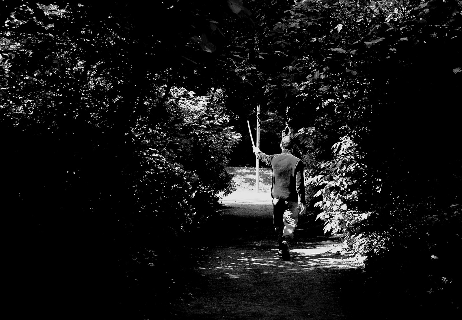 slunečnímu záření, krajina, les, bílý, Černá, černobílý, ulice, noc, voda, Příroda, městský, odraz, nebe, stín, fotografování, silueta, večer, náměstí, atmosféra, Paříž, boj, Noir, půlnoc, světlo, strom, list, rostlina, Street View, fotografie, tma, jardin, litovat, noiretblanc, blackandwithe, photoderue, urbanarte, parc, paris13, photopascalcolin, zálesí, Černý a bílý, monochromatické fotografování, dřevina, jev, obušek, Squarelegal, stock photography