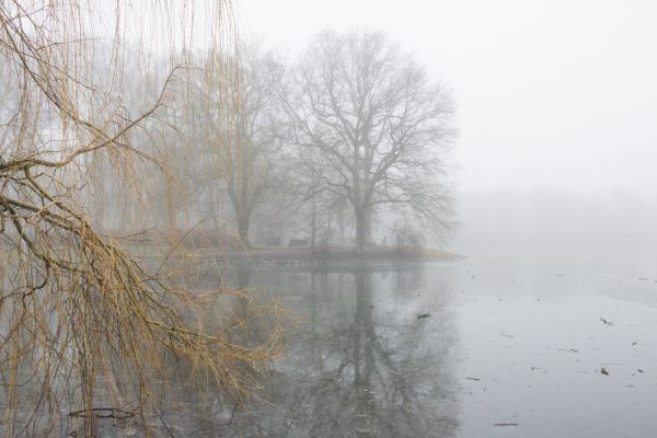 malmo,kungsparken,channel,fog,kanal,mist