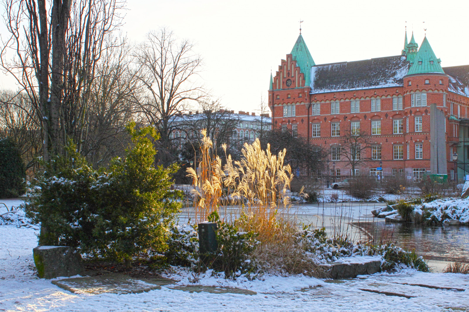 træer, vand, natur, himmel, sne, vinter, hus, by, slot, ejendom, lys, efterår, vejr, sæson, refleksioner, bygninger, grene, Kungsparken, malmø, malmø hus, vandveje