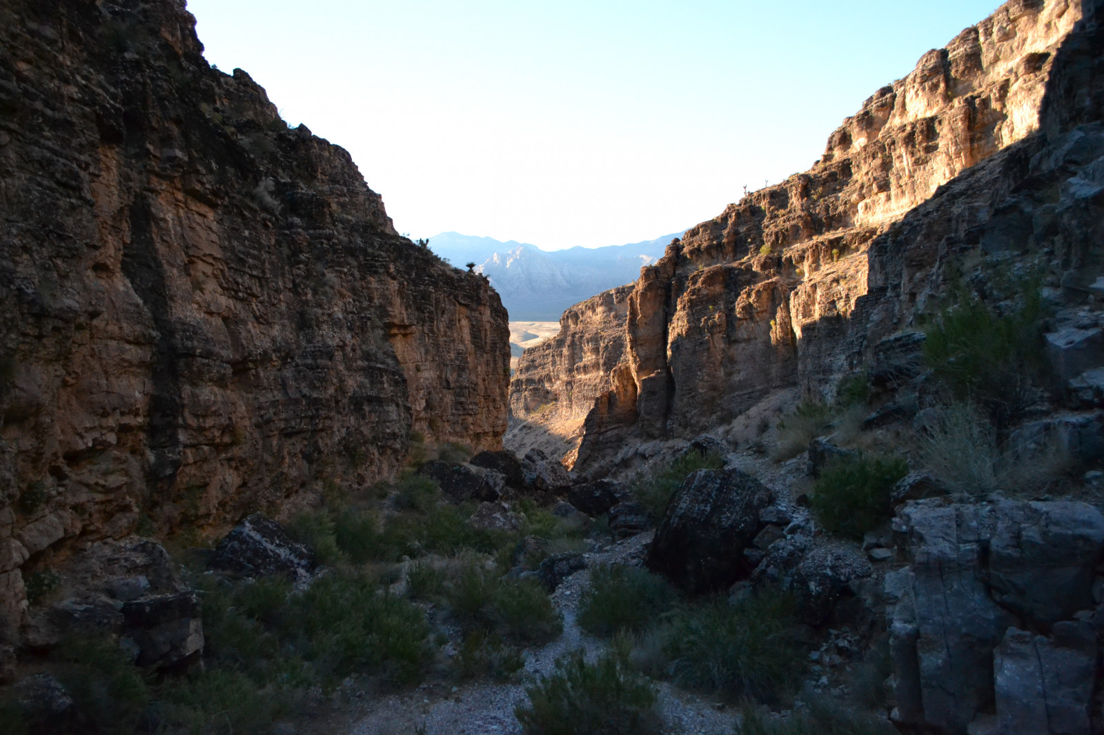 Skála, útes, národní park, údolí, kaňon, divočina, plošina, Formace, rokle, Terén, hora, D3100, cowboytrails, geologie, landform, geografický rys, vádí, badlands