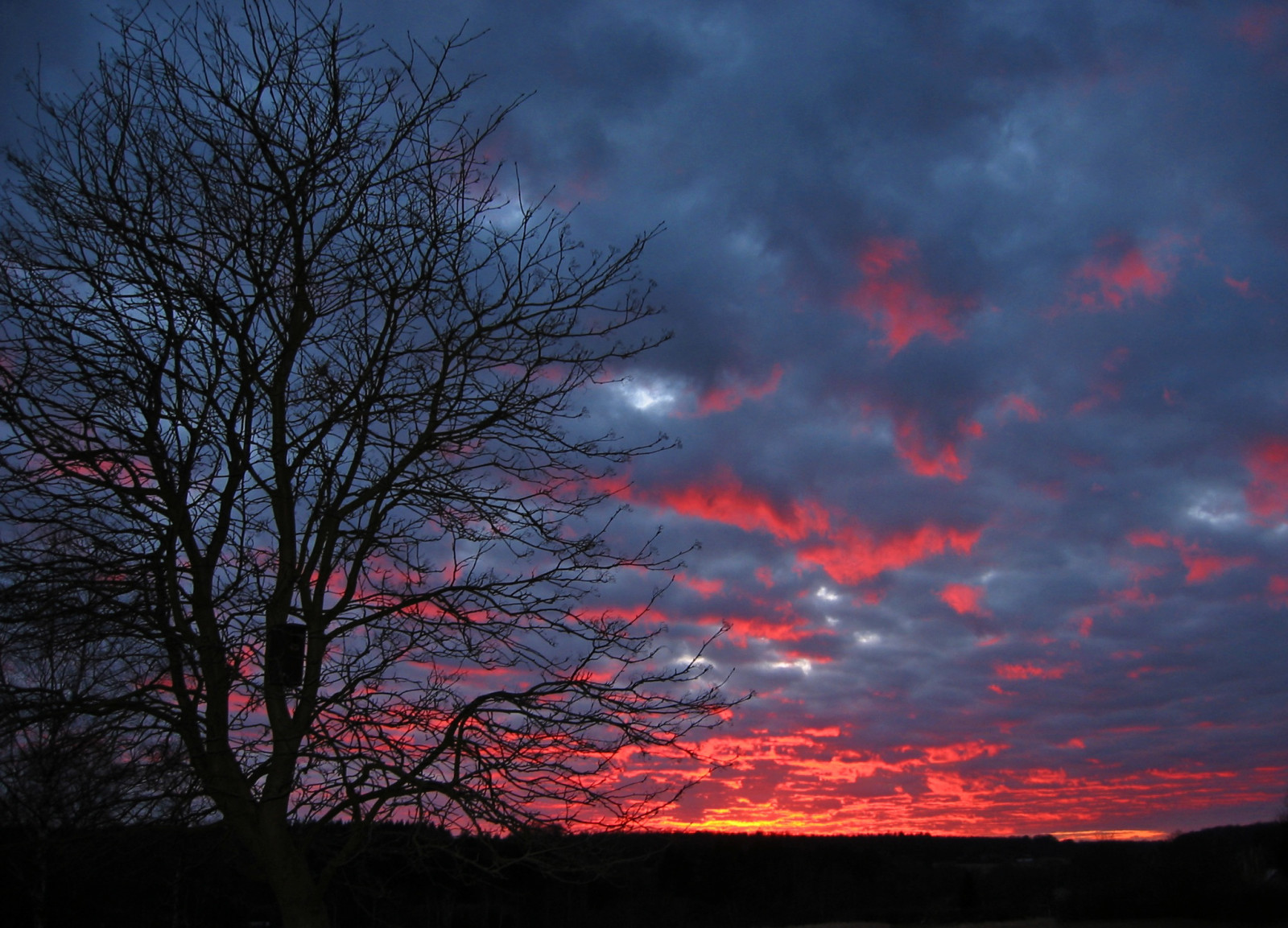 sollys, landskab, solnedgang, natur, himmel, skyer, afdeling, solopgang, aften, morgen, magi, horisont, atmosfære, skumring, Sky, træ, efterår, daggry, saariysqualitypictures, himmel, mørke, ciel, 100commentgroup, dagtimerne, artofimages, bestcaptureaoi, justclouds, computer tapet, atmosfære af jord, efterglød, vedplante, himmellegeme, rød himlen om morgenen, meteorologisk fænomen, cumulus, fænomen, aftersunset, GMT, magicintheair