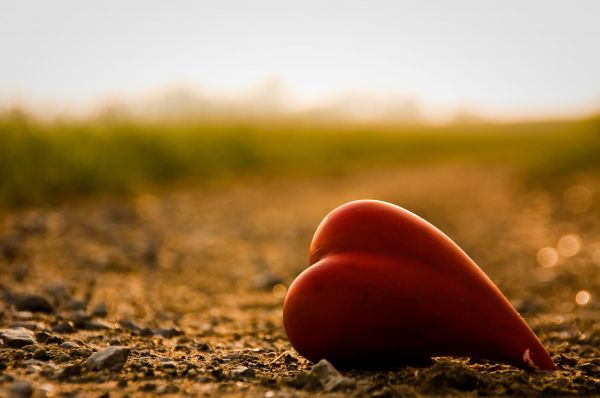 alone,emotion,heart,loneliness,3008x2000 px,bokeh