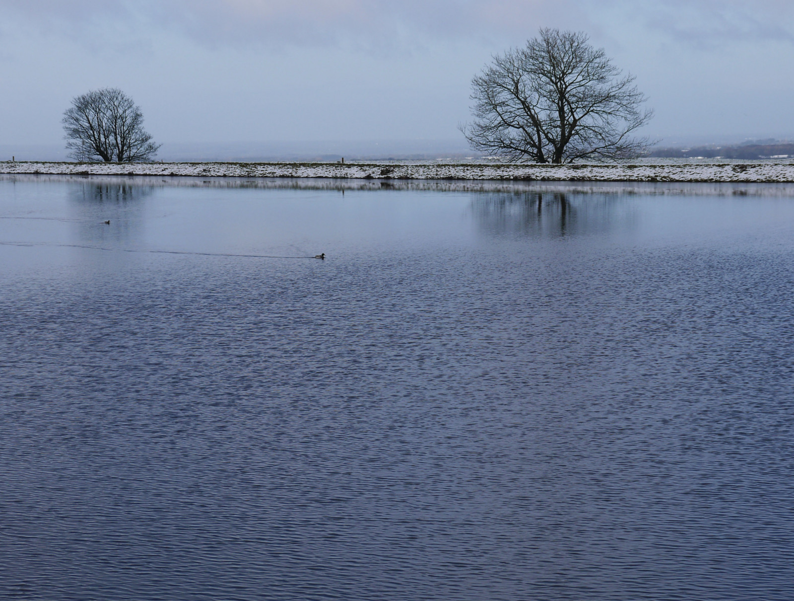 modrý, stromy, zima, sníh, voda, odrazy, citát, leden, Kachny, nádrž, Lancashire, vlnky, Longridge, ribblevalley, toplodge, tootleheights