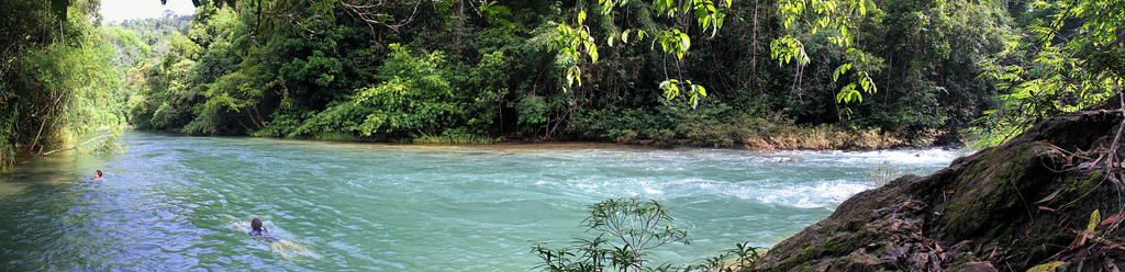 park, strom, zelená, Příroda, voda, zarostlý, Skála, fauna, les, plavání, plavat, trekking, cestování, řeka, chůze, Thajsko, opice, Jáva, chladný, flóra, proud, den, otvor, turistika, cesta, Procházka, Volně žijících živočichů, větve, hlavní sídlo, túra, pády, čerstvý, bambus, dobrodružství, stezka, národní, deštivý, džungle, hektar, ang, bujný, osvěžující, topf100, pai, ještěři, aap, langur, khao, gibbon, makaků, sok, Dlouhotrvající, 100faves, 99faves