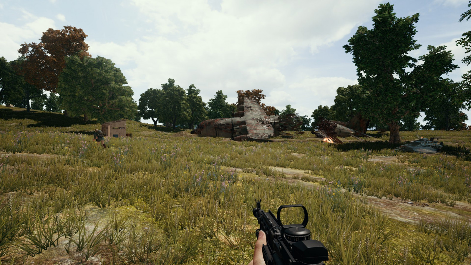 PUBG, Beryl M545, les, letadla, pád, hořící, chatrč, stromy, mraky, blue coat