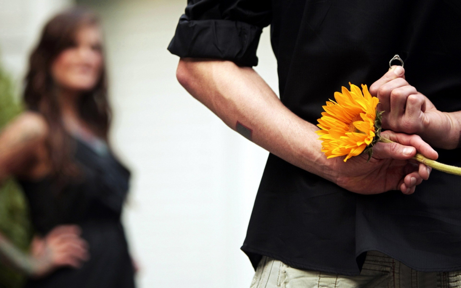 Wallpaper boy, girl, hand, flower, ring, proposal, wedding
