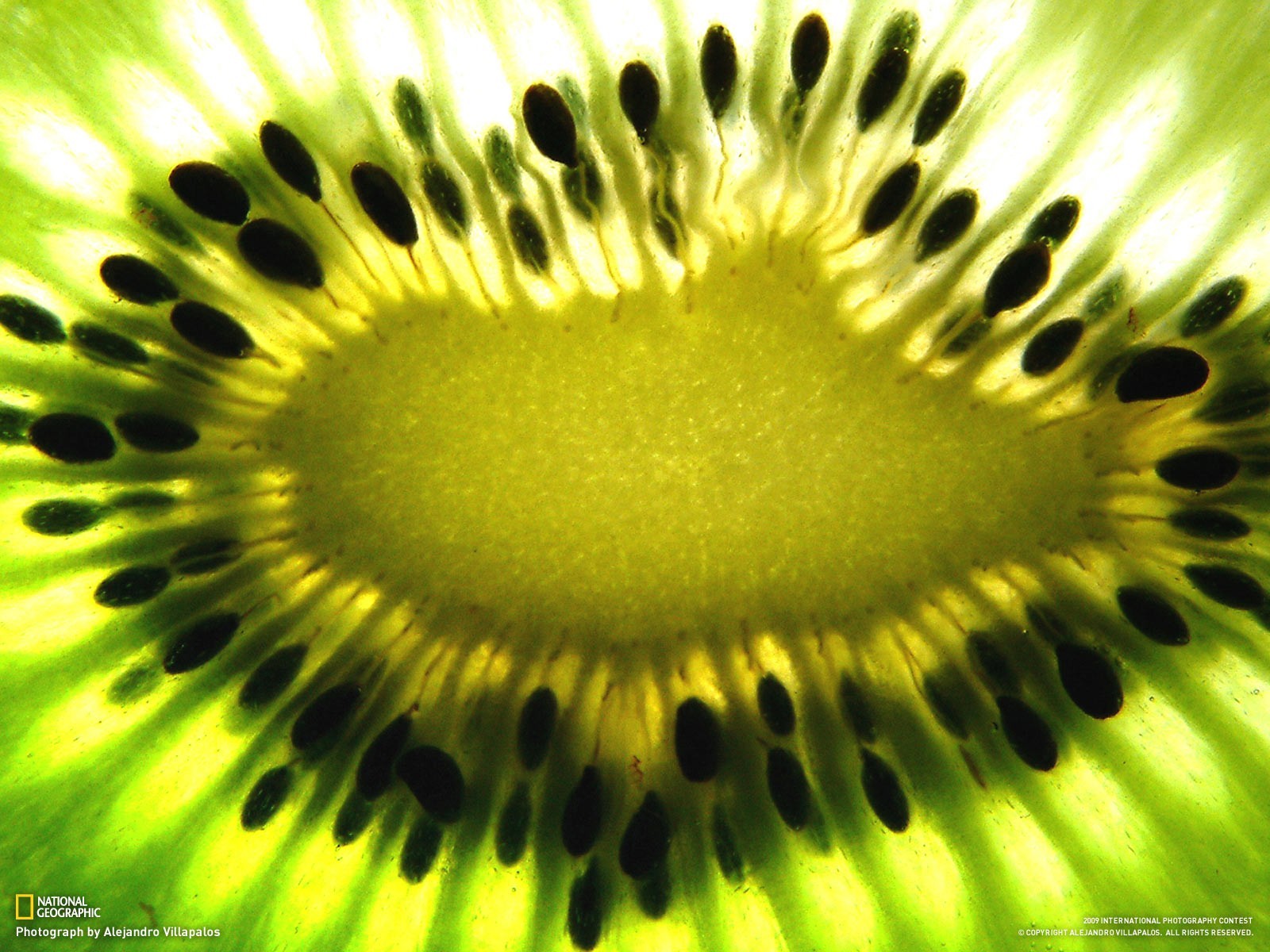 fotografia, macro, frutta, verde, giallo, kiwi, National Geographic, semi, fiore, pianta, flora, petalo, produrre, botanica, impianto di terra, pianta fiorita, avvicinamento, fotografia macro, staminali vegetali, famiglia delle margherite