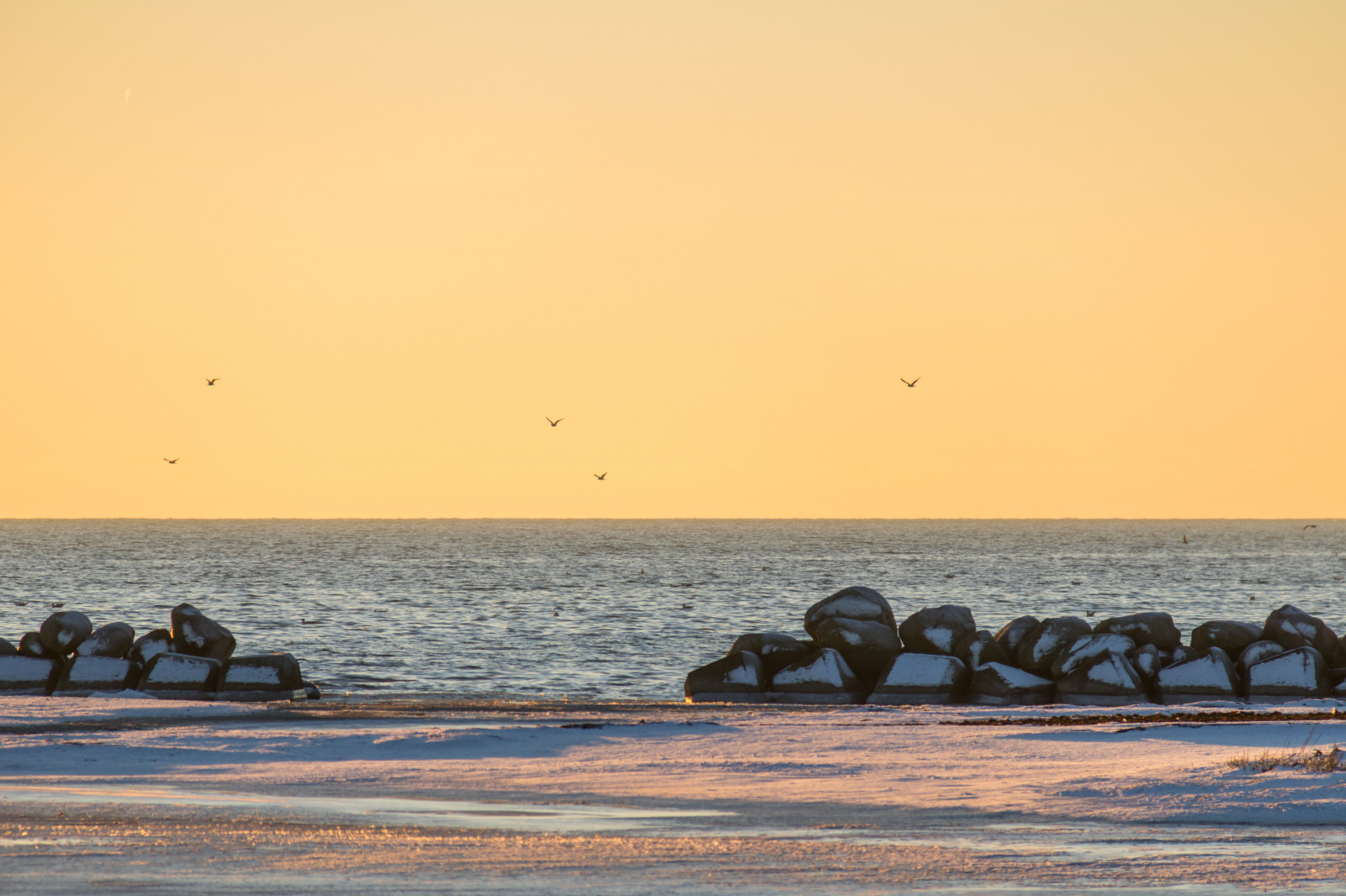 solnedgang, hav, Bugt, kyst, sand, vinter, strand, solopgang, aften, morgen, kyst, horisont, skumring, daggry, ocean, bølge, solnedg ng, vinter, hav, Trelleborg, kust, v strasm b tshamnen, havfugle, krop af vand, vadehavet