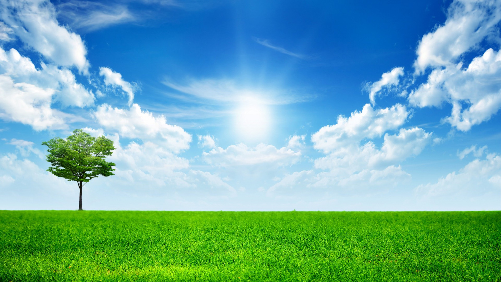 slunečnímu záření, krajina, tráva, nebe, pole, horizont, atmosféra, mrak, lučina, rostlina, pastvina, zemědělství, louka, prostý, trávník, prérie, počítač tapeta, ekosystém, tráva rodina, meteorologický jev, kupa