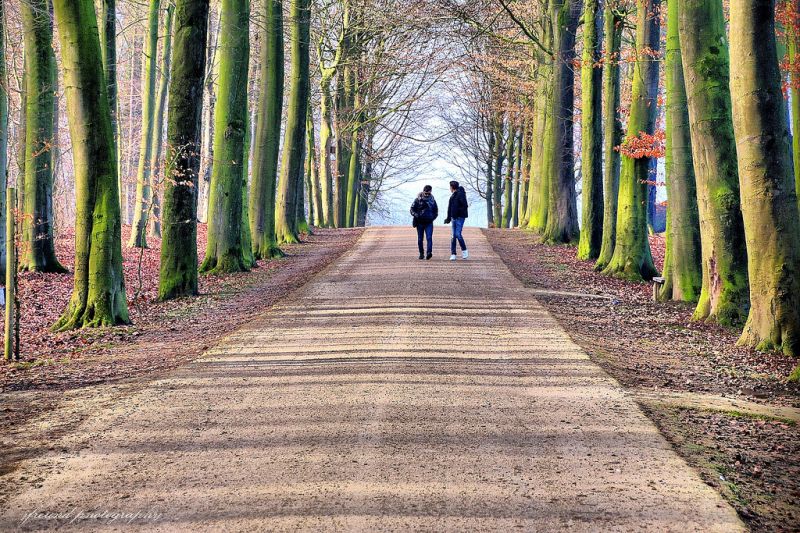 Belgie, Gaasbeek, flemishbrabant, Pajottenland, park, zima Belgie, Gaasbeek, flemishbrabant, Pajottenland, park, zima