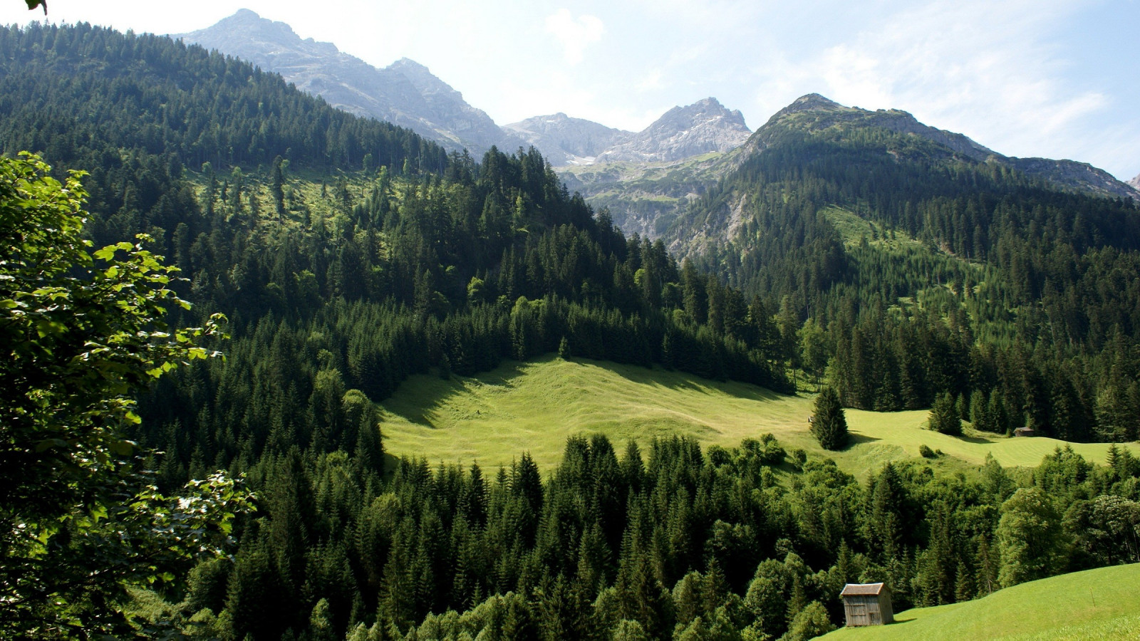 krajina, les, hory, kopec, Příroda, kopce, národní park, údolí, horský průsmyk, divočina, Alpy, plošina, hřbet, strom, hora, louka, zálesí, místo výskytu, přírodní prostředí, horských reliéf, landform, geografický rys, ekosystém, mírné jehličnatý les, biome, pohoří, stanice hill, smíšený les