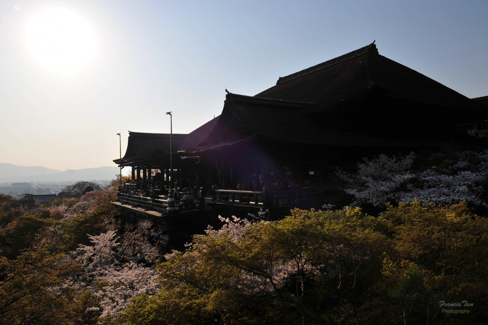 květiny, stromy, útes, slunce, hora, hory, dějiny, Sluneční svit, silueta, Japonsko, chrám, krajiny, jaro, Kyoto, stíny, balkón, náboženství, modrá obloha, uNESCO, světlice, sakura, třešňové květy, výšky, Relikvie, protisluneční, travelphoto, Kawazusakura, Pinksakura, Fongetz, Francistán, nikond700, Kiyozumitemple, 2470mmnikkor