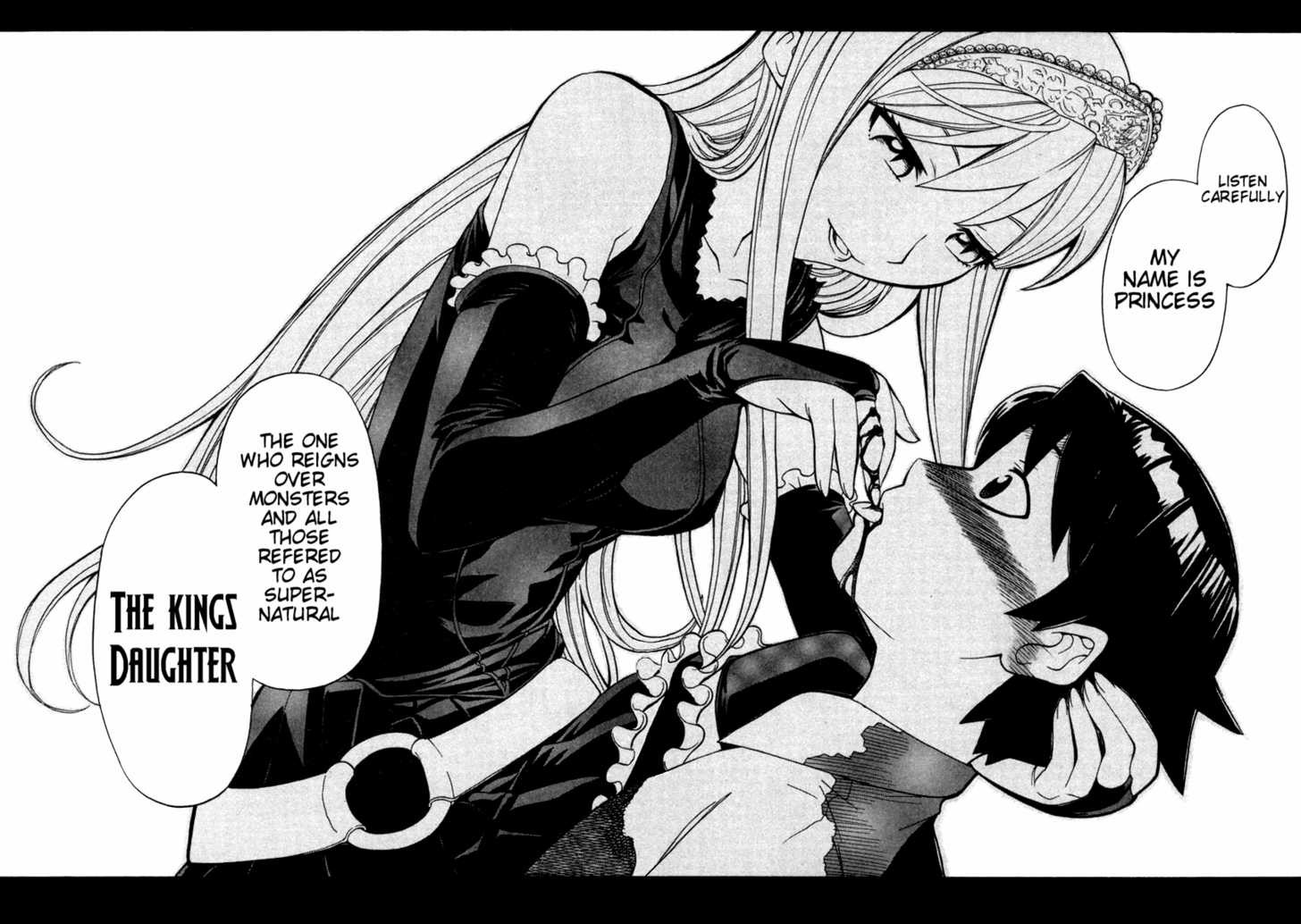 výkres, ilustrace, černobílý, anime, kreslená pohádka, komiks, Princess Resurrection, Hime Princess Resurrection, Hiyorimi Hir, skica, Černý a bílý, monochromatické fotografování, mangaka, comics umělec