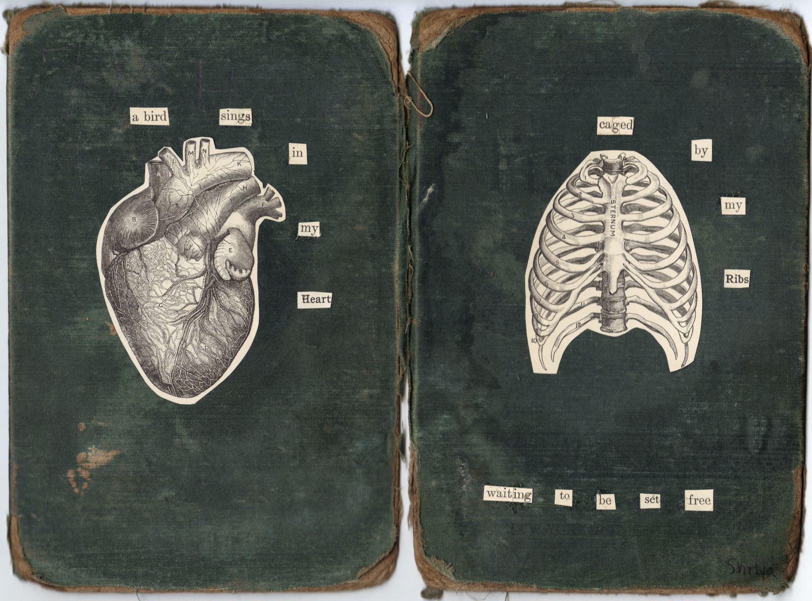 ข้อความ, คำ, ตัวอักษร, bookcovers, โครงการข้ามมหาสมุทรแอตแลนติก