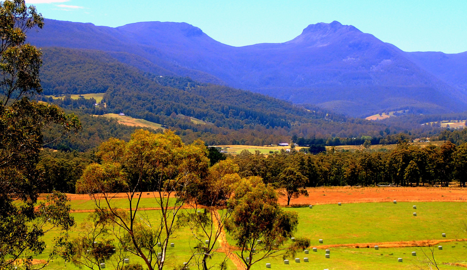 Příroda, list, lučina, horských reliéf, nebe, vegetace, pole, divočina, ekosystém, vysočina, strom, dřevina, hora, mount scenérie, přírodní rezervace, kopec, louka, venkov, pastvina, podzim, krajina, stanice hill, národní park, tráva, pohoří, biome, hospodařit, prostý, klesl, prérie, sráz, údolí, rostlina, křoviny, plošina, smíšený les, vesnice, plant community, les, horská obec