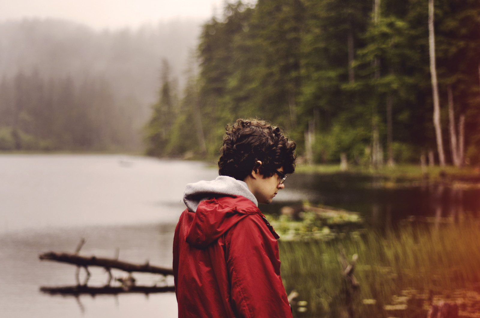 Wallpaper sunlight, landscape, forest, mountains, lake, water, nature