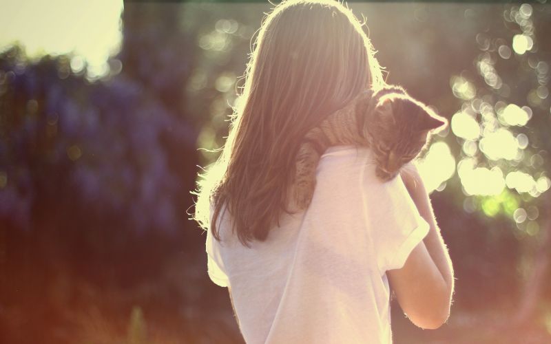luce del sole, gatto, animali, donne, fotografia, vestito luce del sole, gatto, animali, donne, fotografia, vestito