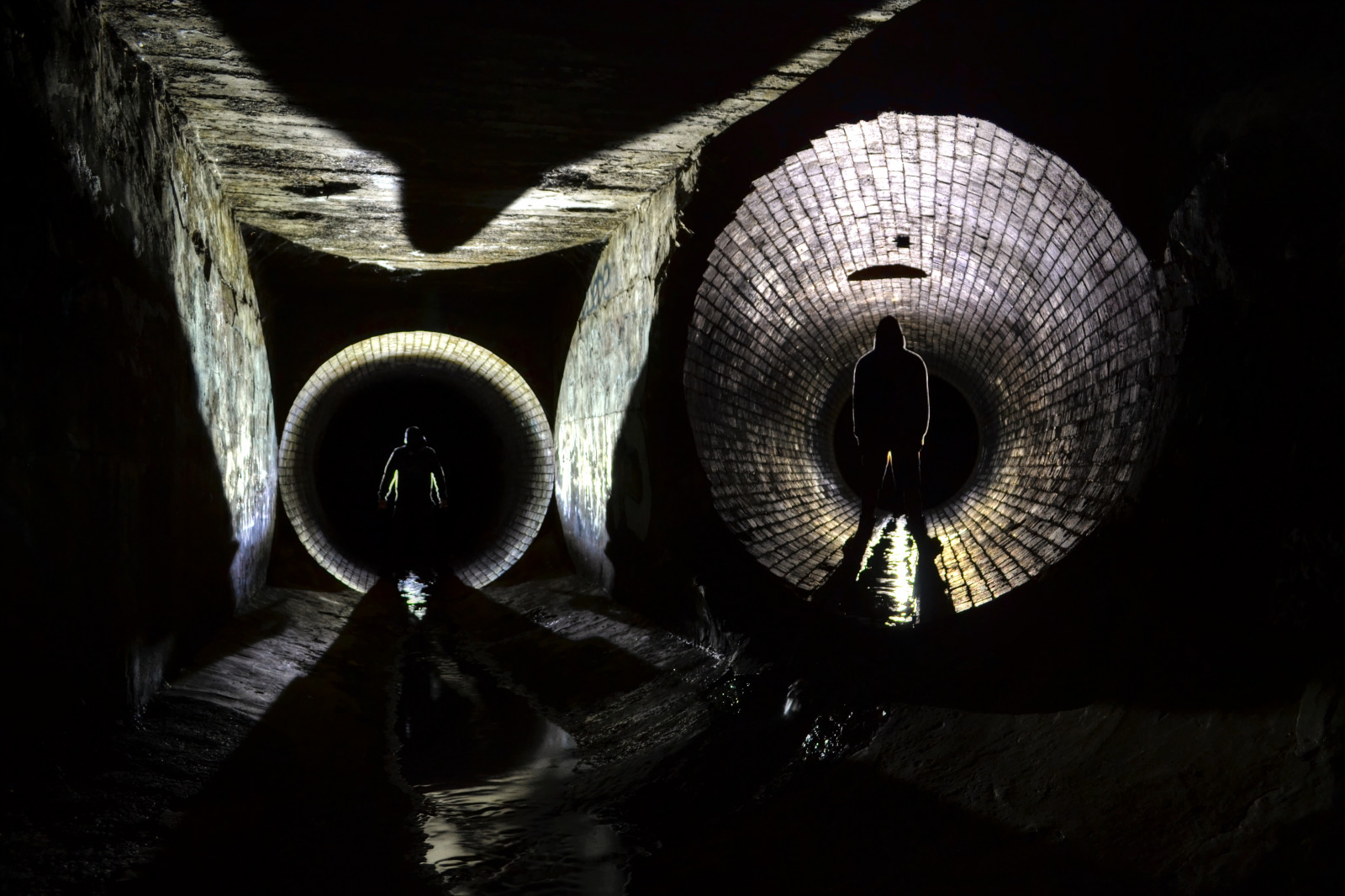 mørke, lys, tæt på, stadig liv fotografering, makrofotografering, sort og hvid, cirkel, stock photography, computer tapet