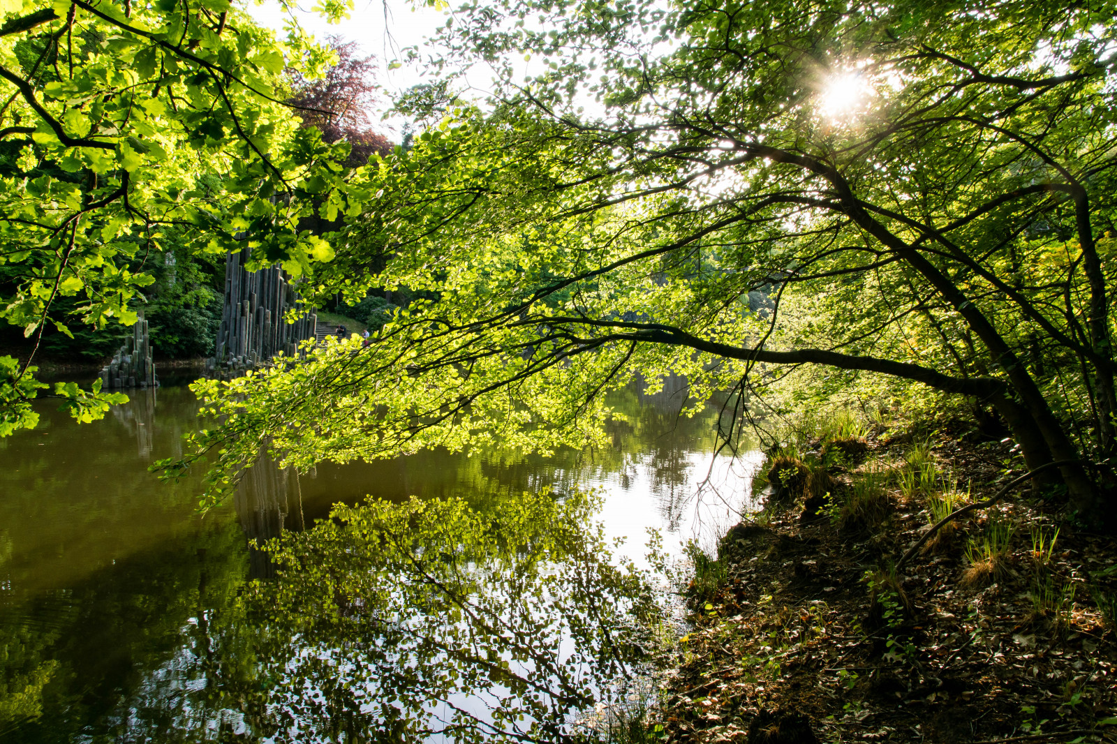 zrcadlo, syn, voda, venkovní, jezero, Wald, zrcadlení, zrcadlení, slunce, les, Příroda, spiegelung, stromy, vidět, reflektion, wasser, natur, Spiegel