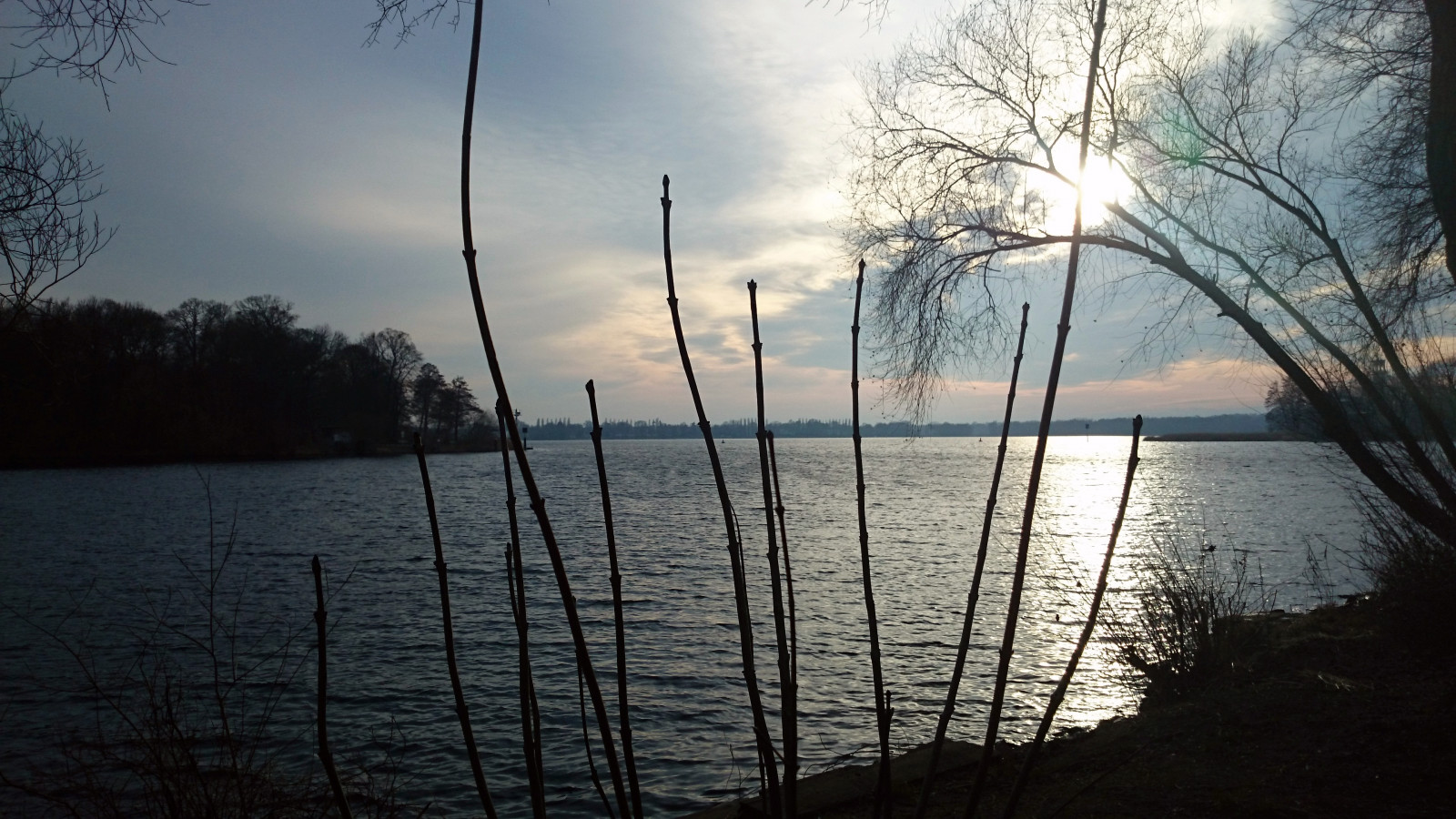 slunečnímu záření, moře, jezero, voda, odraz, nebe, větev, uklidnit, večer, ráno, řeka, horizont, jaro, banka, Berlín, mrak, strom, rostlina, nádrž, wasser, Fluss, potsdam, bayou, jezero, vodní, tělo z vody, jev, havel, výlet, Sacrow, weites, fr hjahrsausflug