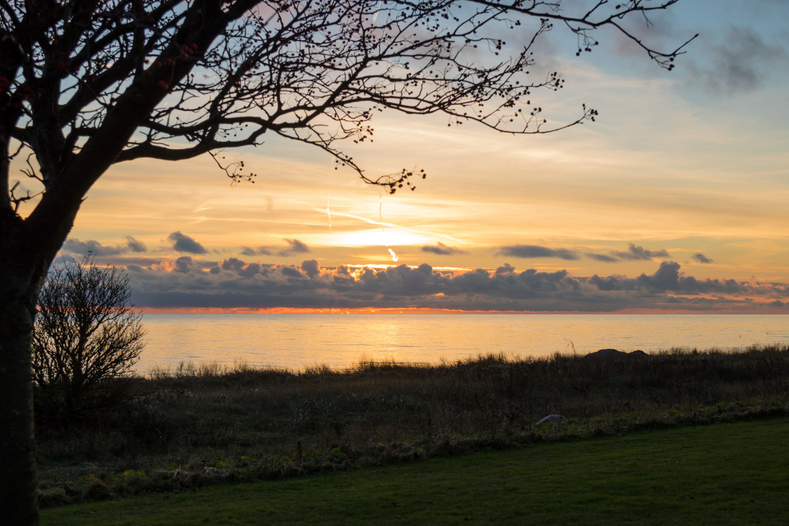 slunečnímu záření, krajina, západ slunce, moře, kopec, jezero, Příroda, odraz, tráva, nebe, svítání, večer, ráno, mlha, pobřeží, horizont, soumrak, mrak, strom, svítání, nebe, solnedg ng, tr d, hav, moln, Trelleborg, kust, exif modelu canoneos760d, geocountry, Kamera aby kánon, geocity, Model fotoaparátu canoneos760d, geostate, geolocation, EXIF čočka efs18200mmf3556is, exif aby kánon, EXIF isospeed 100, EXIF otvor 71, exif focallength 35mm, prostý, prérie, venkov, atmosférický jev, dřevina
