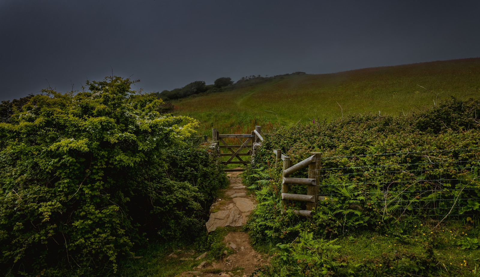 ansigt, sollys, landskab, Skov, blade, 500px, mørk, abstrakt, bakke, natur, græs, himmel, Mark, skyer, grøn, blå, Dorset, bakker, kyst, klint, dyreliv, Sol, gård, dal, Nikon, britisk, kystlinje, gå, Lightroom, top, Fokus, lys, udsættelse, Sky, smuk, træ, gå, blad, bjerg, høj, græsarealer, plante, skønhed, sæson, solskin, landbrug, landskabet, græs, felter, vegetation, Port, landbrug, eng, plantage, D7100, engelsk, highland, DXO, kystnære, nationaltrust, landdistrikt, hill station, meteorologisk fænomen, shrubland, sti, dxooptics, bolthead, plant community
