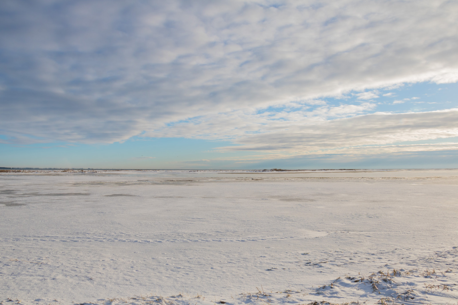 Meer, Ufer, Sand, Himmel, Schnee, Winter, Strand, Küste, Horizont, Wolke, Ozean, Welle, Sn, Vinter, Hav, Material, Naturschutzgebiet, Naturreservat, Falsterbo, M kl ppen, Lebensraum, natürlichen Umgebung, Gewässer, Windwelle, Mudflat, Salzsee