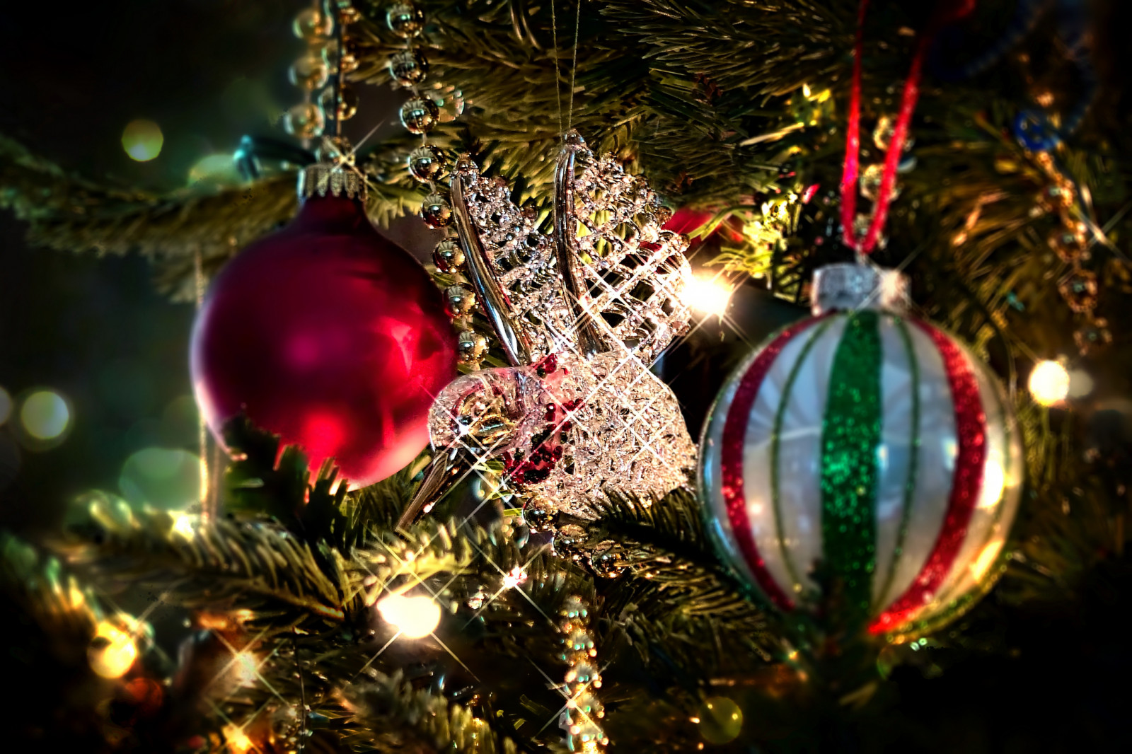 Wallpaper Christmas, decorations, Canada, closeup, lumix, Winnipeg